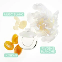 Cacharel - Noa Eau De Toilette -Parfumerie Burdin Boutique cacharel noa eau de toilette 1