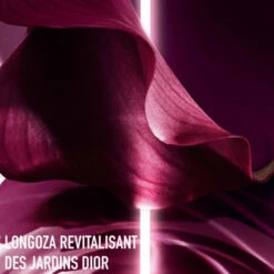 Dior Capture Totale Soin Regard Fermeté Et Correction Rides 7 Dior Capture Totale Soin Regard Fermeté Et Correction Rides -Parfumerie Burdin Boutique dior capture totale cell energy soin regard fermete et correction rides 3