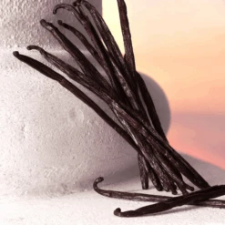 Dolce & Gabbana - Devotion Eau De Parfum Intense 9 Dolce & Gabbana - Devotion Eau De Parfum Intense -Parfumerie Burdin Boutique dolce et gabbana devotion eau de parfum intense 3