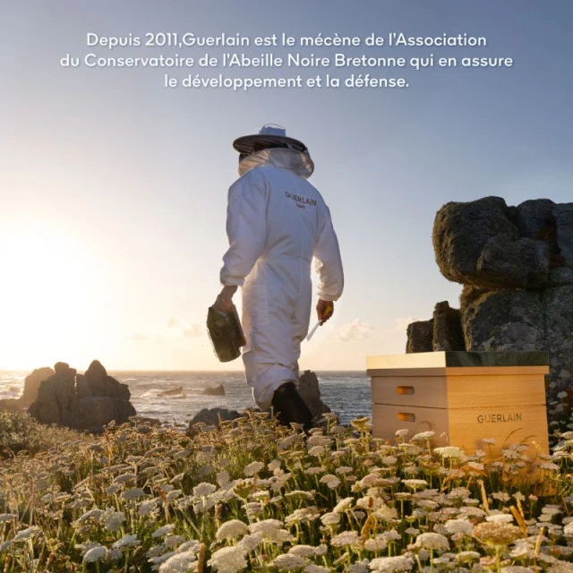 Guerlain - Abeille Royale Sérum Huile-en-Eau-Jeunesse 9 Guerlain - Abeille Royale Sérum Huile-en-Eau-Jeunesse – Image 9