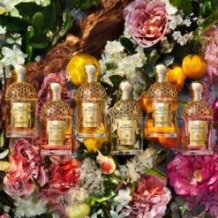 Guerlain - Aqua Allegoria Nerolia Vetiver Forte Eau De Parfum -Parfumerie Burdin Boutique guerlain aqua allegoria forte nerolia vetiver eau de parfum 7