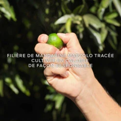 Guerlain - Aqua Allegoria Harvest Mandarine Basilic Eau De Toilette -Parfumerie Burdin Boutique guerlain aqua allegoria harvest mandarine basilic eau de toilette 4