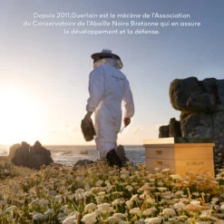 Guerlain - Abeille Royale Coffret Anti-Âge Crème De Nuit, Crème De Jour Et Sérum -Parfumerie Burdin Boutique guerlain coffret abeille royale programme anti age creme lotion huile serum 6