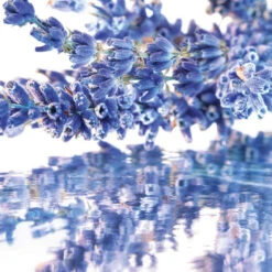 Guerlain - Mon Guerlain Coffret Eau De Parfum Avec Sa Miniature Et Son Lait Corps 5 Guerlain - Mon Guerlain Coffret Eau De Parfum Avec Sa Miniature Et Son Lait Corps -Parfumerie Burdin Boutique guerlain mon guerlain coffret eau de parfum 2