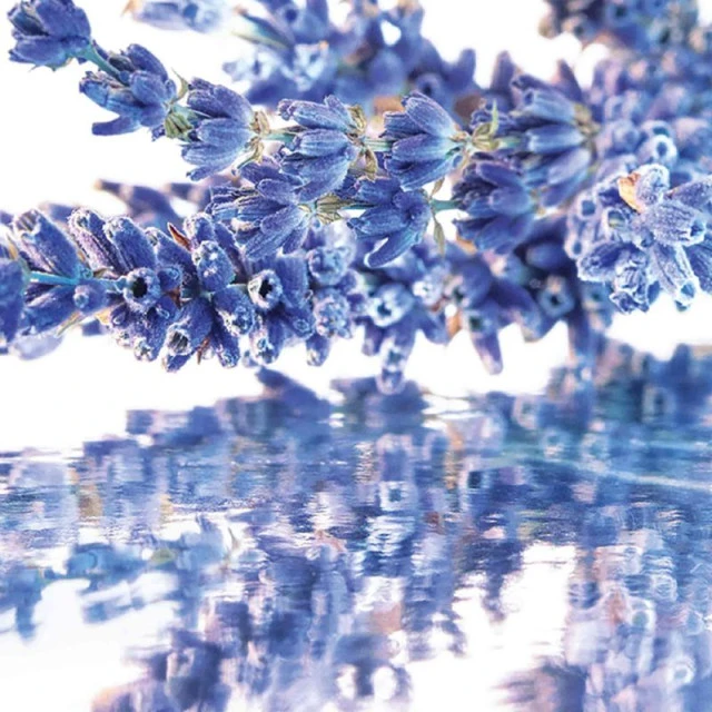 Guerlain - Mon Guerlain Coffret Eau De Parfum Avec Sa Miniature Et Son Lait Corps 3 Guerlain - Mon Guerlain Coffret Eau De Parfum Avec Sa Miniature Et Son Lait Corps – Image 3