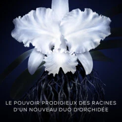 Guerlain - Orchidée Impériale La Crème Légère Soin Complet D'Exception -Parfumerie Burdin Boutique guerlain orchidee imperiale la creme legere soin complet d exception 3