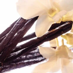 Guerlain - Shalimar Coffret Eau De Parfum 50ml, Lait Corps Et Céramique -Parfumerie Burdin Boutique guerlain shalimar coffret eau de parfum 50ml lait corps et ceramique 1