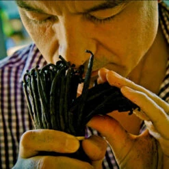 Guerlain - Shalimar Coffret Eau De Parfum 50ml, Lait Corps Et Céramique -Parfumerie Burdin Boutique guerlain shalimar coffret eau de parfum 50ml lait corps et ceramique 2