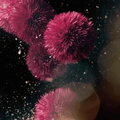 La Mer - Lotion Pré-Soin Ultime -Parfumerie Burdin Boutique la mer lotion pre soin ultime 5