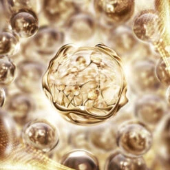 Lancome Lancôme - Absolue Crème Contour Des Yeux 8 Lancome Lancôme - Absolue Crème Contour Des Yeux -Parfumerie Burdin Boutique lancome absolue yeux soin regard revitalisant 2