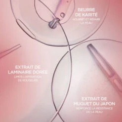 Sisley - Peaux Sensibles Soin Apaisant, Sensibilité, Inconforts -Parfumerie Burdin Boutique sisley peaux sensibles soin apaisant sensibilite inconforts 5