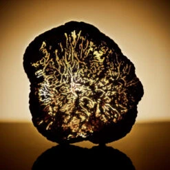 Estee Lauder Estée Lauder - Re-Nutriv Ultimate Diamond Sérum Yeux Révélateur D'Énergie 8 Estee Lauder Estée Lauder - Re-Nutriv Ultimate Diamond Sérum Yeux Révélateur D'Énergie -Parfumerie Burdin Boutique soins visage contour des yeux raffermissant et liftant yeux re nutriv ultimate diamond serum yeux revelateur d energie 3