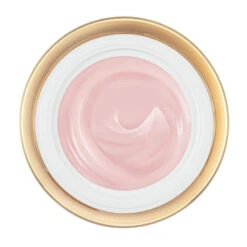 Lancome Lancôme - ABSOLUE Crème Fondante Régénérante Illuminatrice -Parfumerie Burdin Boutique soins visage soins quotidiens visage raffermissant et liftant absolue creme fondante regenerante illuminatrice 4